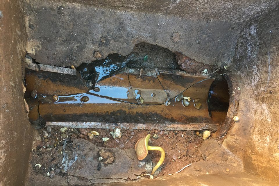 https://www.jet2clear.co.uk/wp-content/uploads/2022/11/Rats-easily-get-into-broken-drains-classic-example-from-Isca-Pest-Control-960x640.jpg