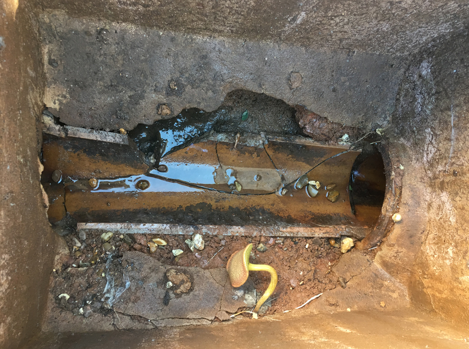 https://www.jet2clear.co.uk/wp-content/uploads/2022/11/Rats-easily-get-into-broken-drains-classic-example-from-Isca-Pest-Control.jpg